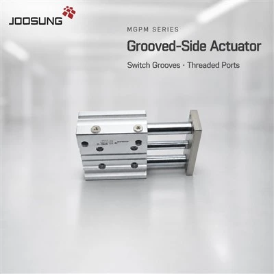 MGPM12-20 Aratohu Pneumatic Cylinder