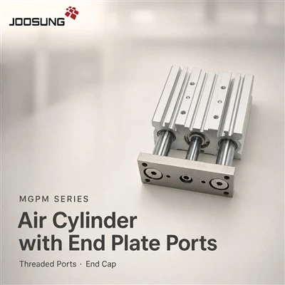 MGPM20-30 Aratohu Pneumatic Cylinder